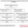 IIPs Classification