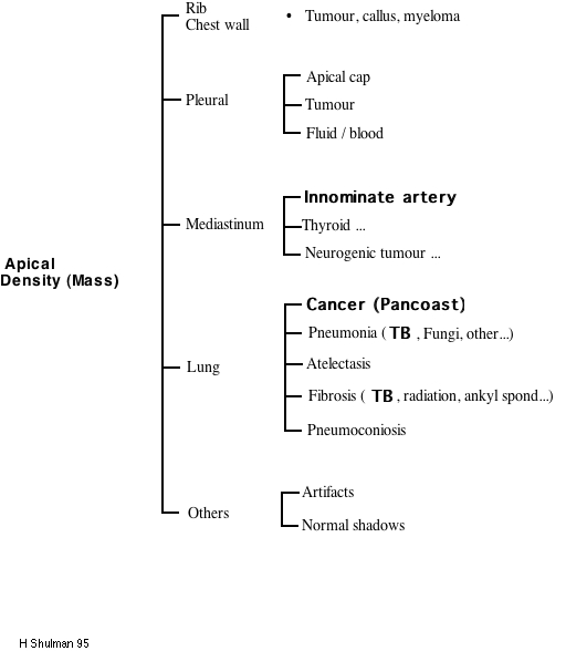 Apical density