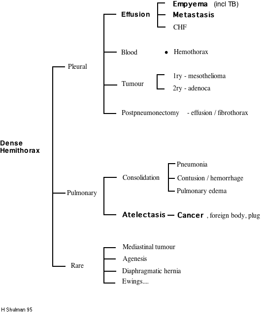 Dense Hemithorax