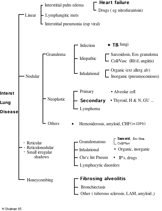 Interstitial Lung Disease