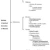 Mult ill-defined nodules