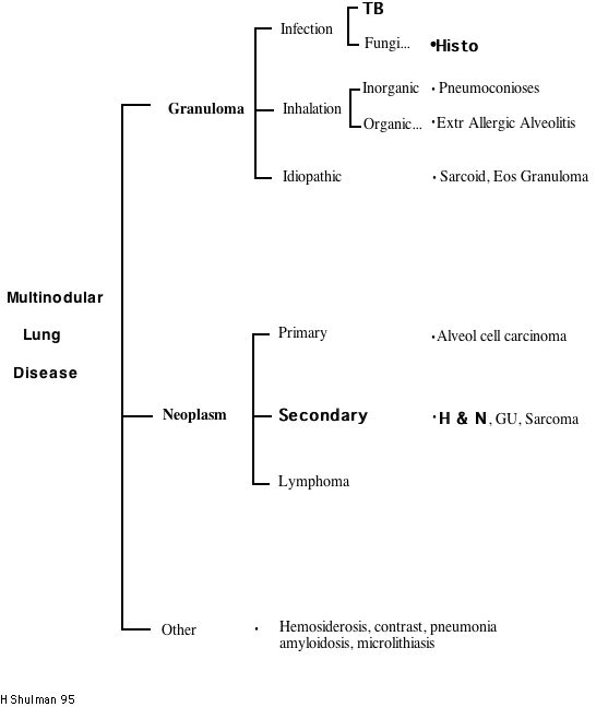 Multinodular Lung Disease