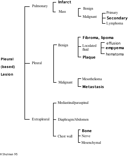 Pleural based lesion